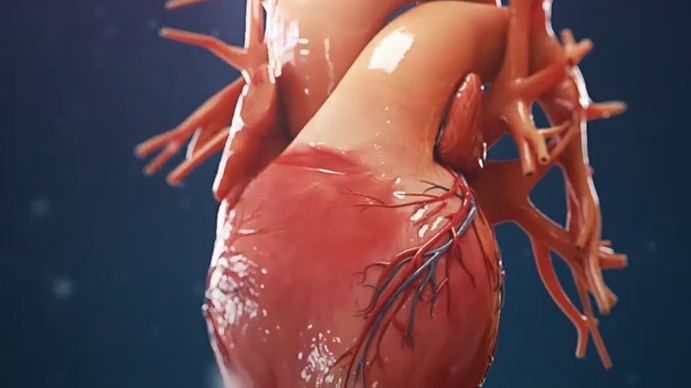 3D医学动画